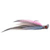 Bearded Dragon - Pink Shad Blue Flash