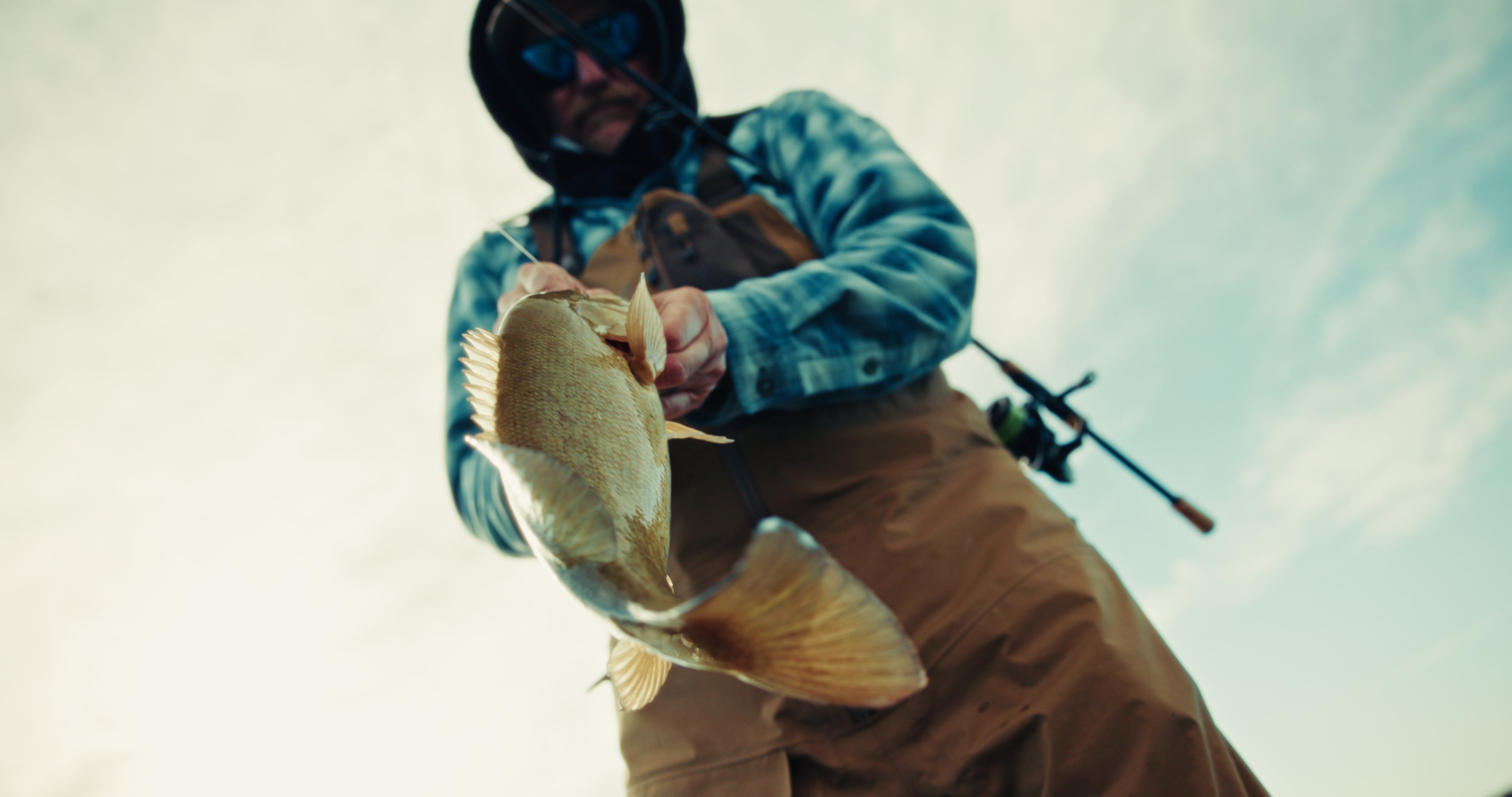 Minnow Heads